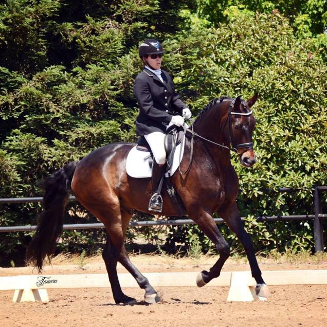 Willie and I at Starr Vaughn in the Young Horse 5-Year-Old test. Photo (c) Tamara with the Camera.